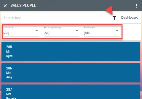 Hervorgehobene Filterzeile in der Listenansicht der App mit den Dropdowns Country, TerritoryGroup und FullName